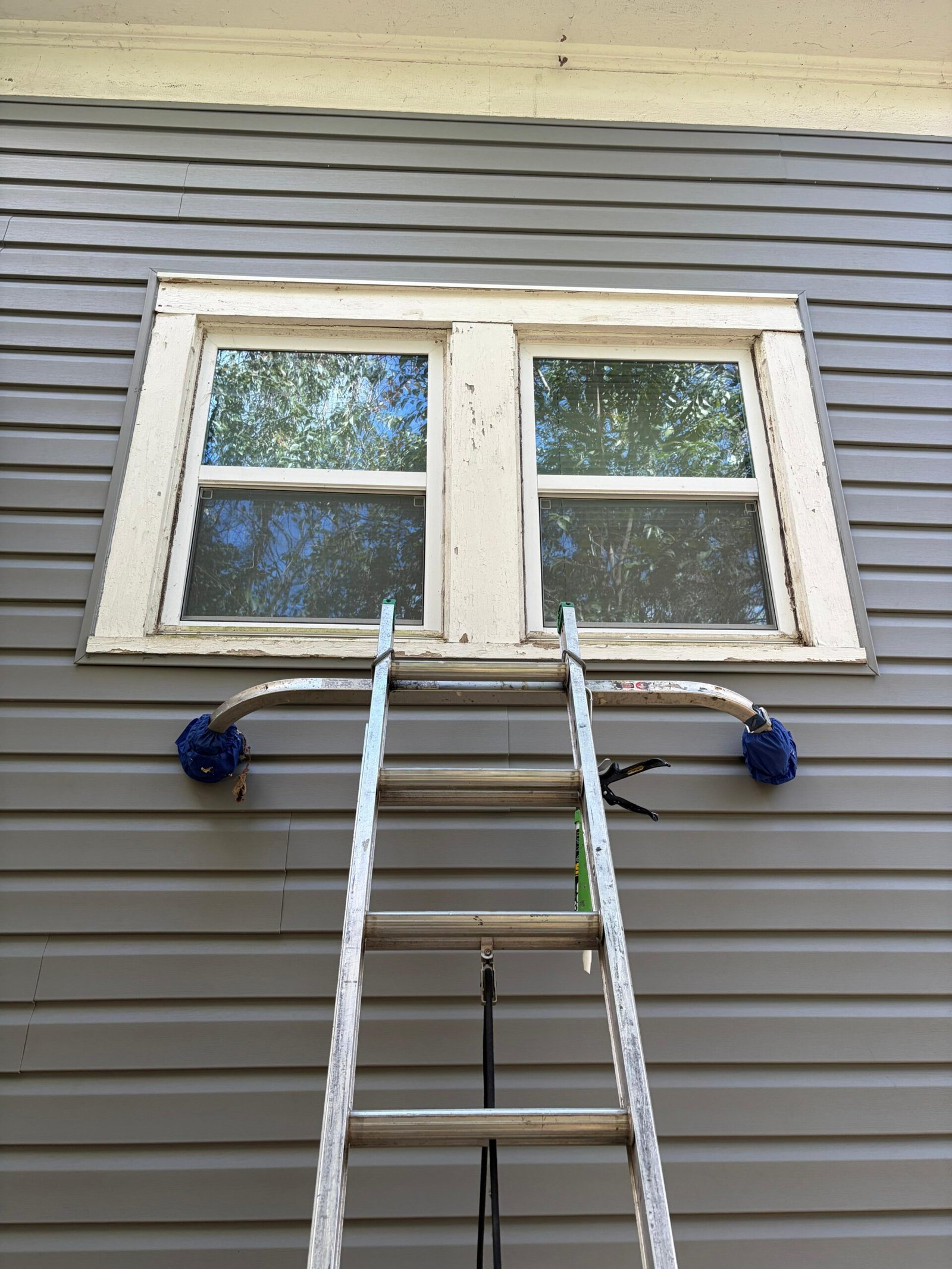 81f6dd83-0628-4b2d-9455-dd454bbb687b