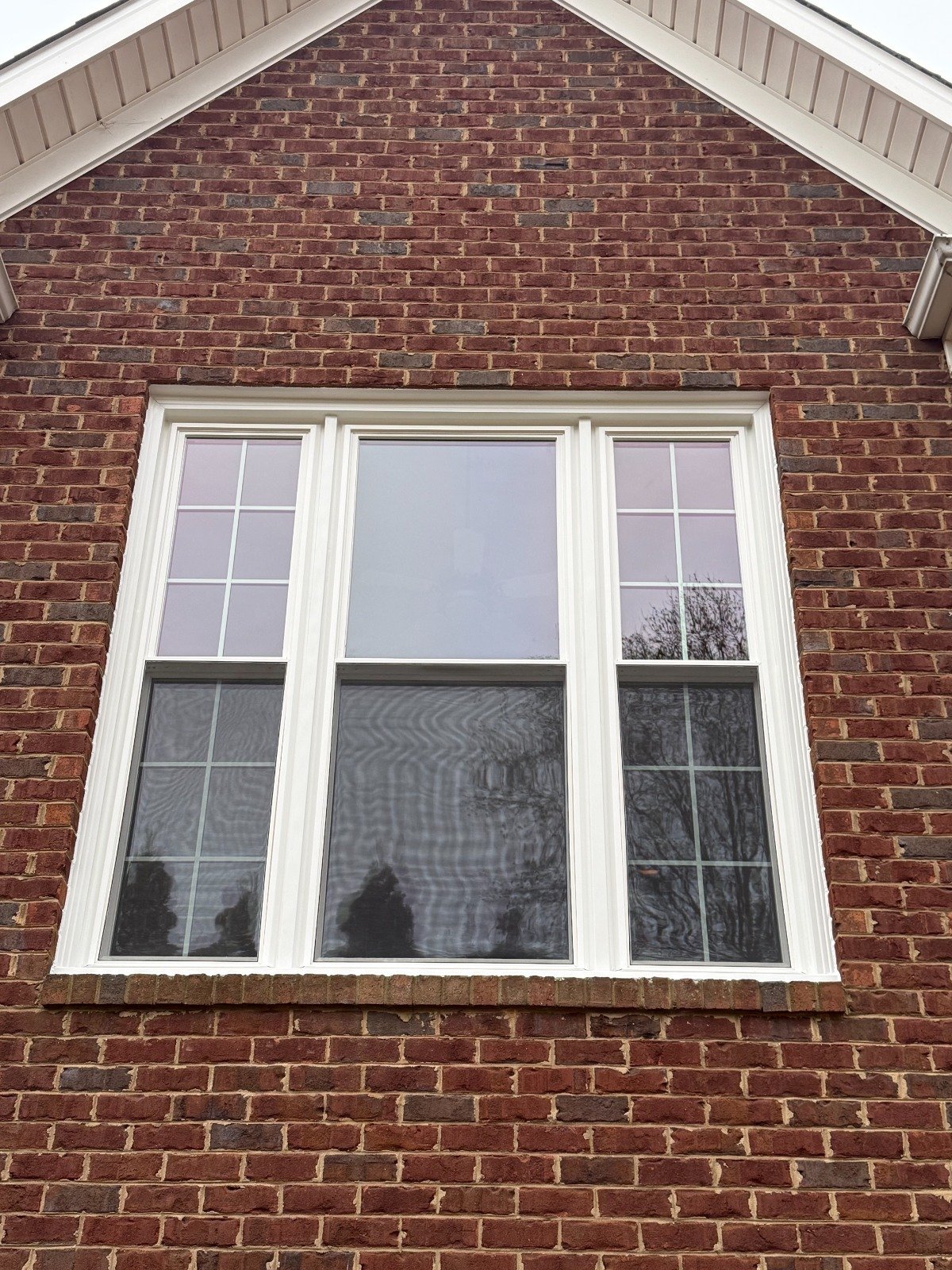 WhatsApp Image 2026-03-20 at 12.26.00 (2)