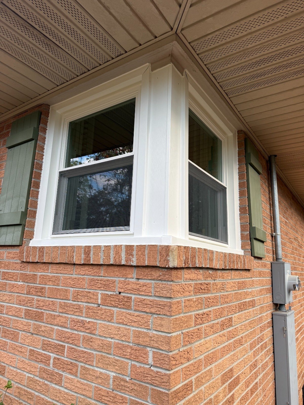 WhatsApp Image 2026-03-20 at 12.26.00 (3)