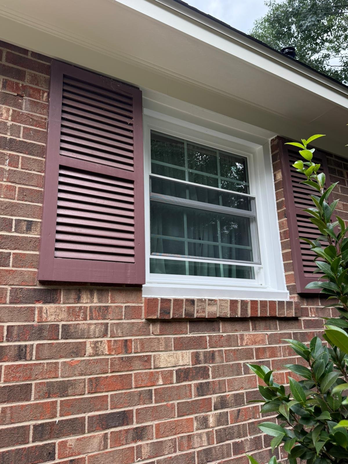 WhatsApp Image 2026-03-30 at 10.30.39 (1)