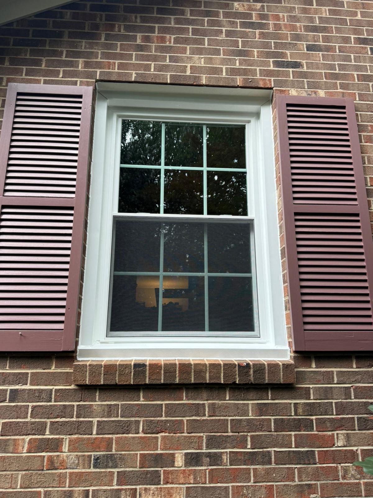 WhatsApp Image 2026-03-30 at 10.30.39